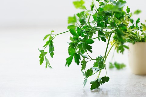 green plants