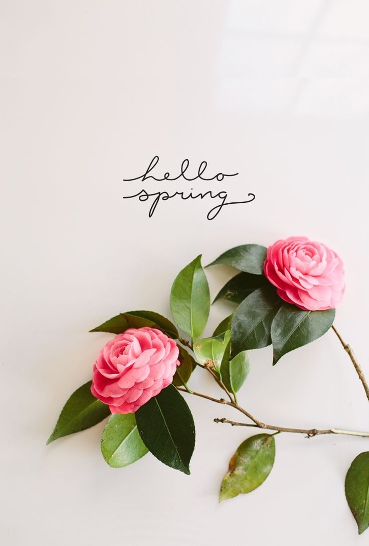 Hello Spring