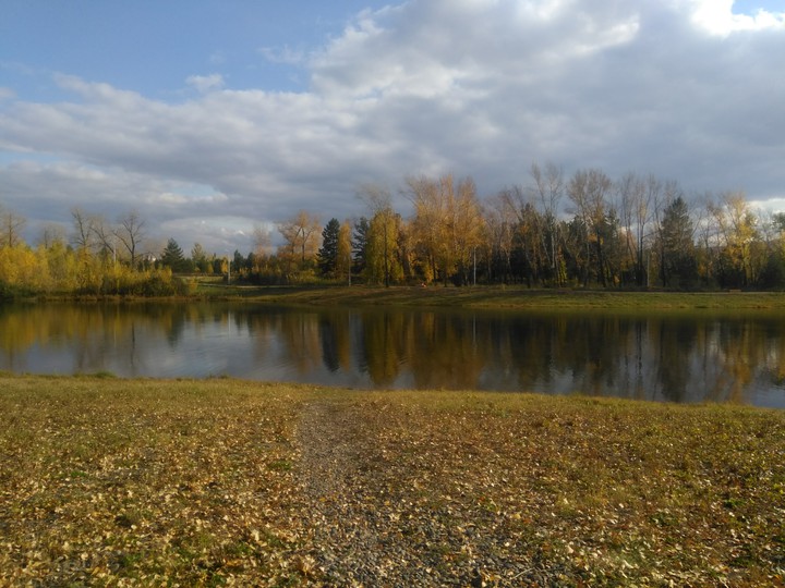 Autumn