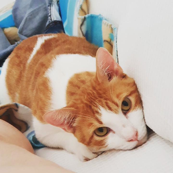 it's all in the eyes