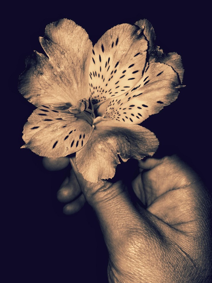 Hands and flowers