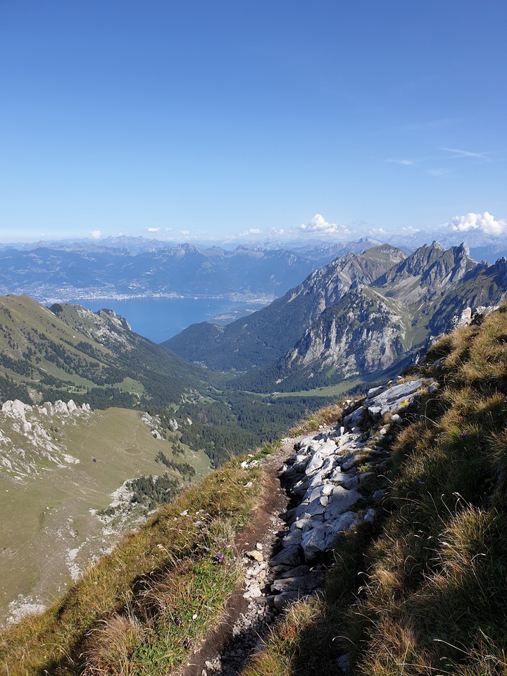 Dent D'Oche