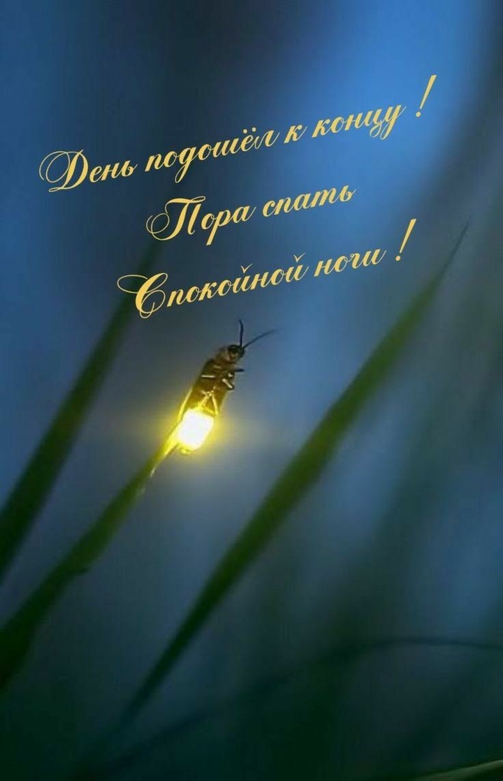 Спокойной ночи