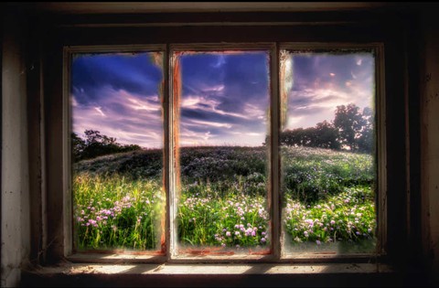 window