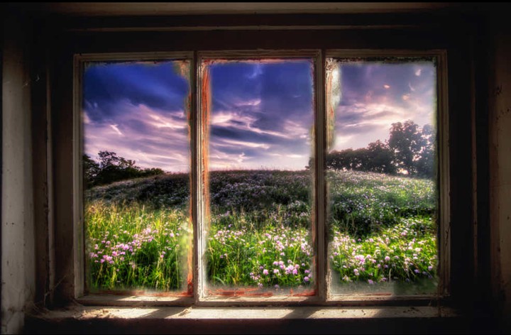 window
