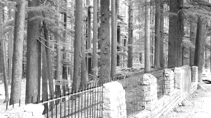 manali