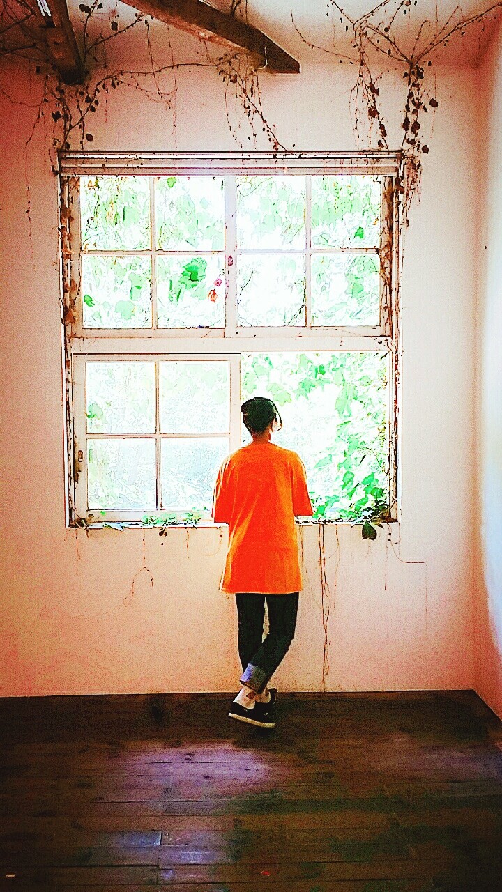 창문