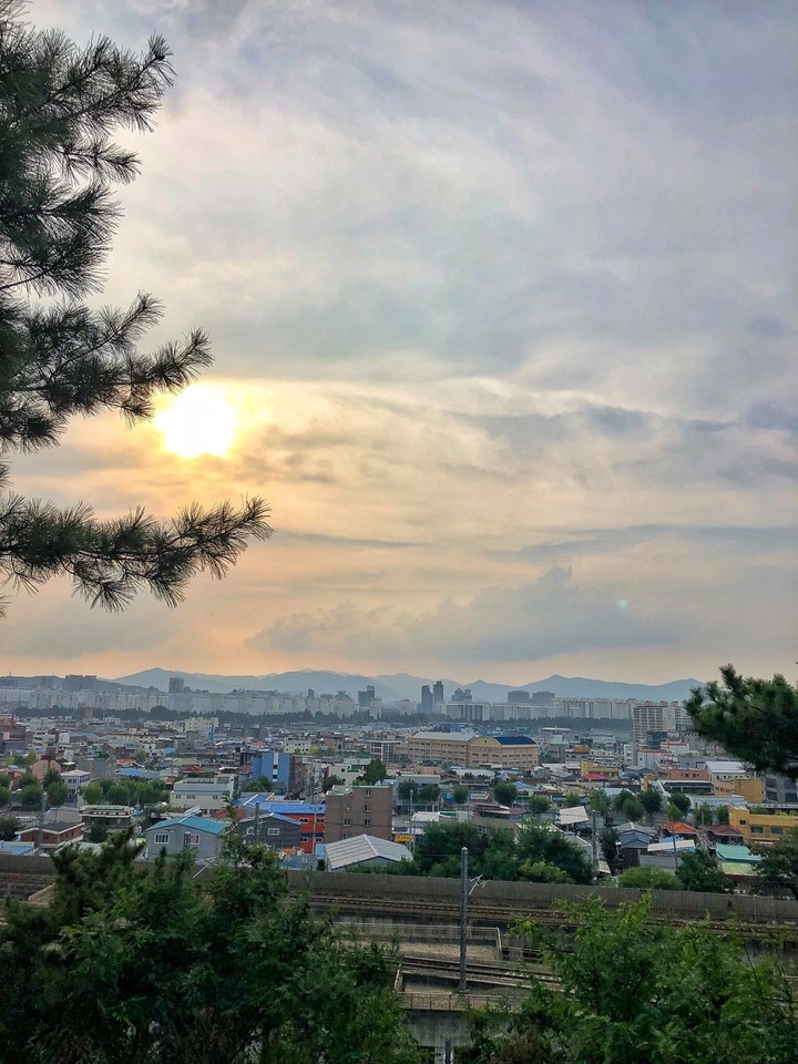 대전