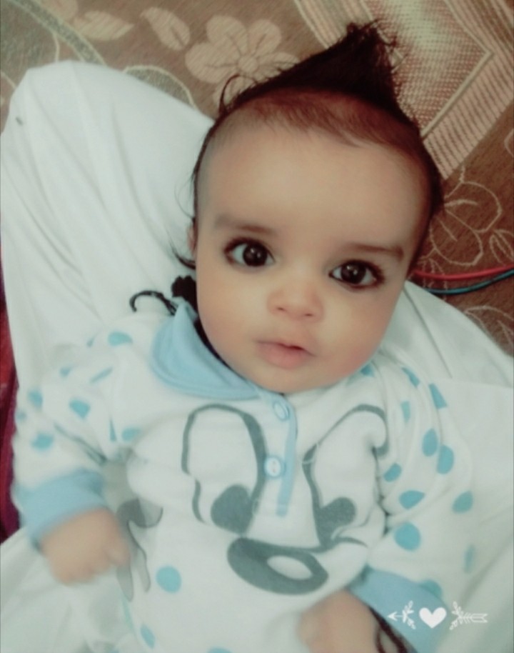 abo del