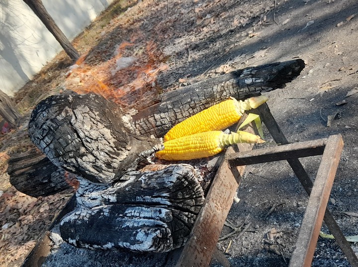 Grilled corn