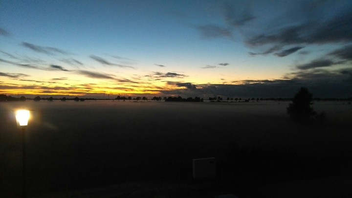 Feld im Nebel