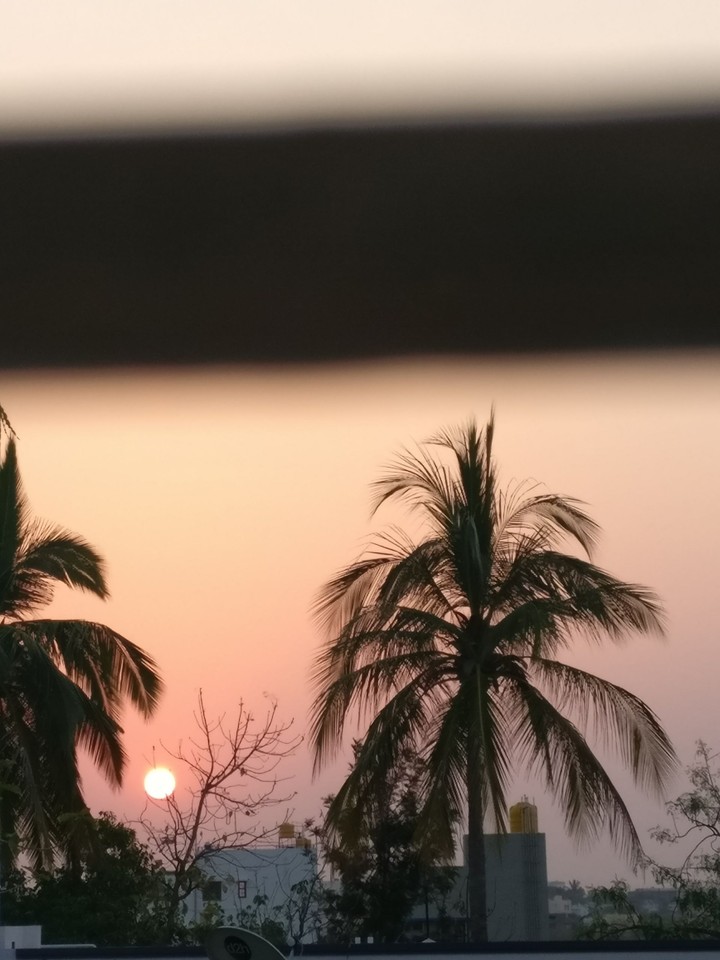 good morning