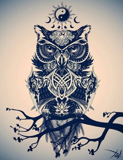 Owl