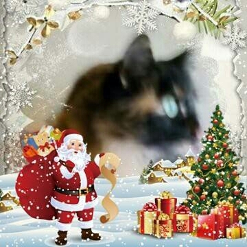 la Navidad 2018 con Luna