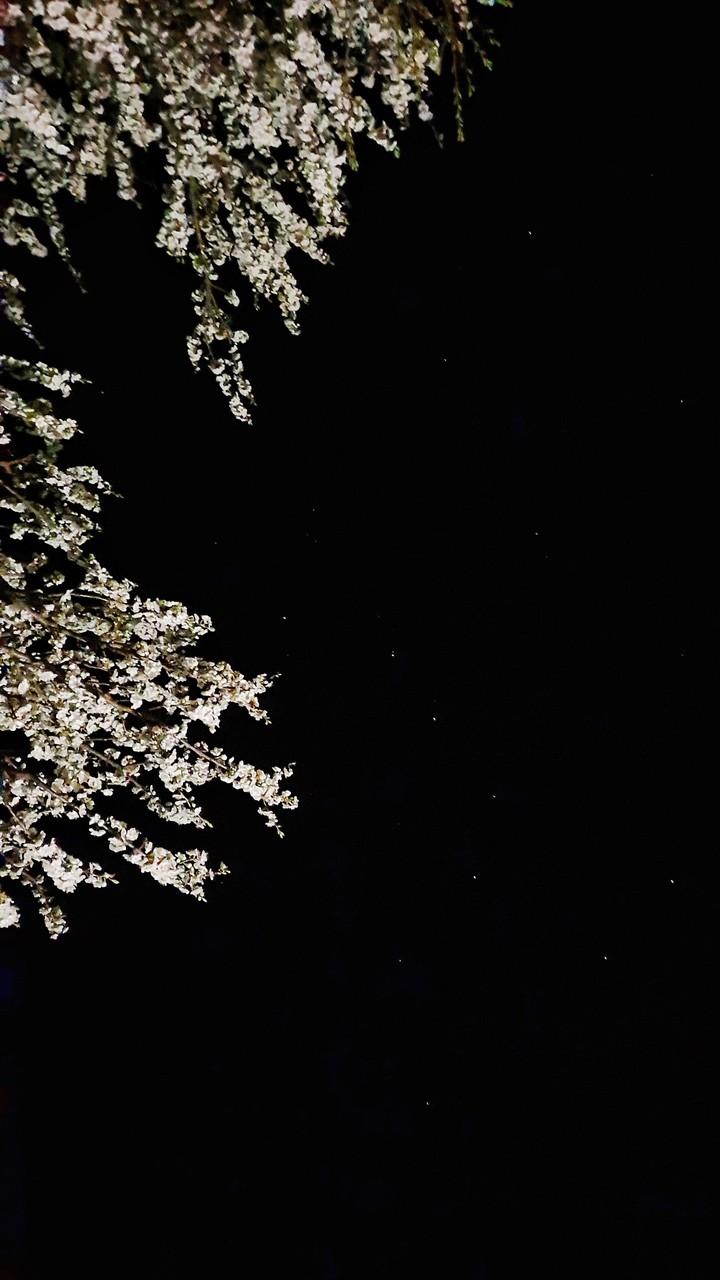 constellation