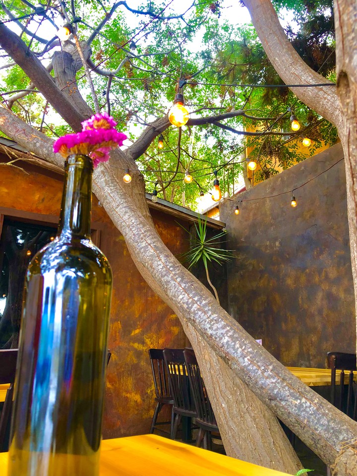 Comiendo en un árbol