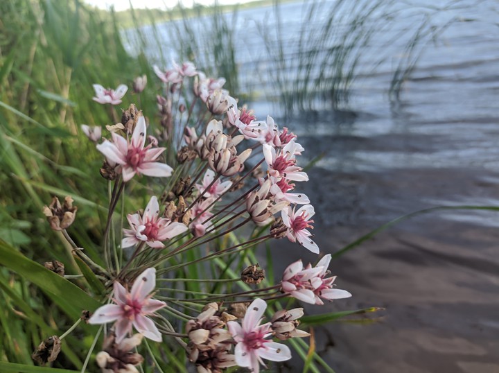 #Україна #літо #summer