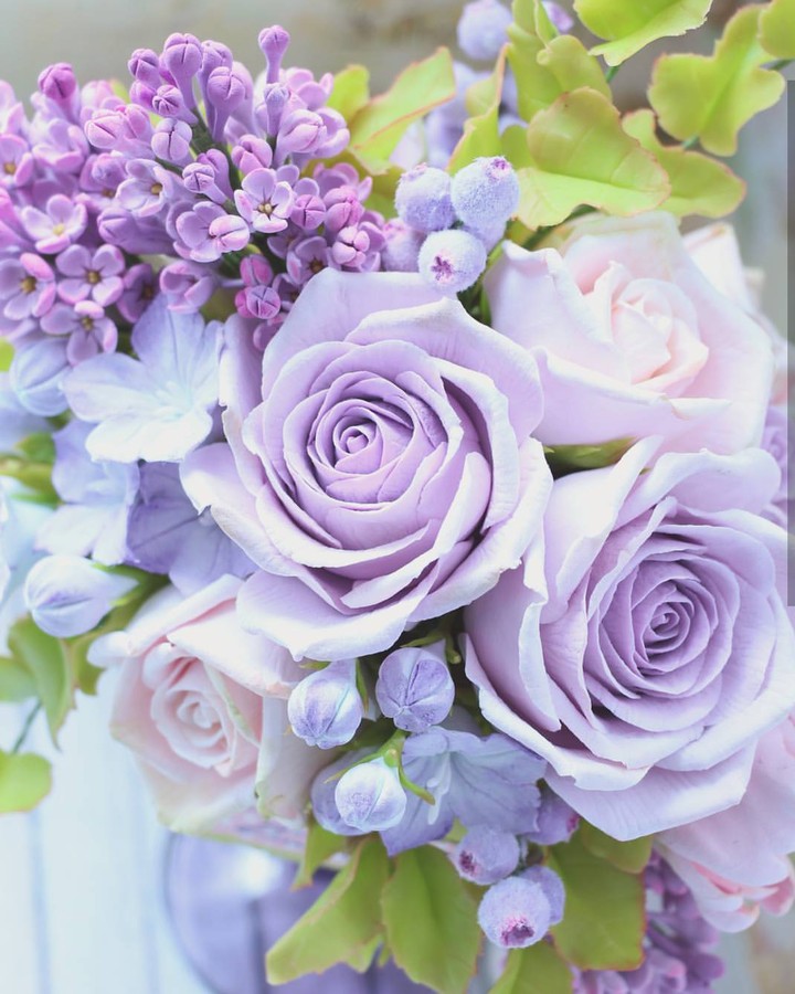 purple flower