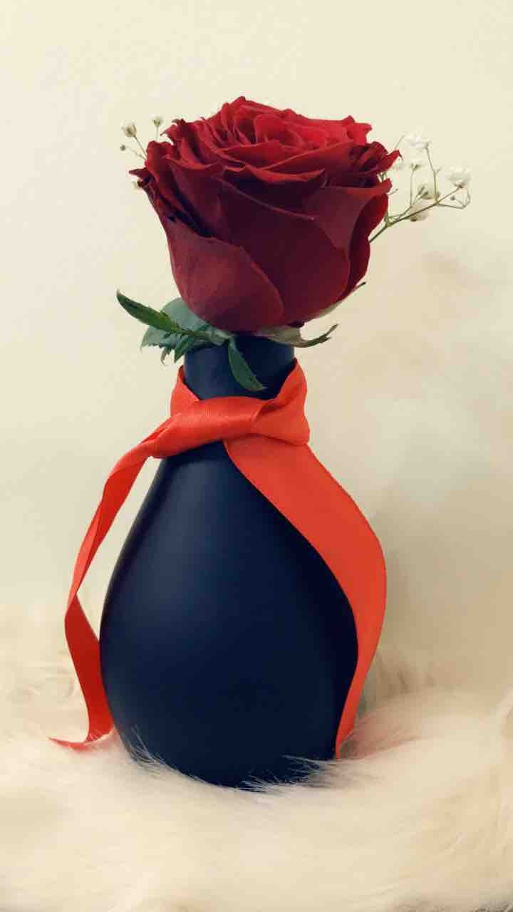 red rose ??