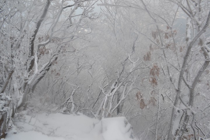 관악산의겨울이미지