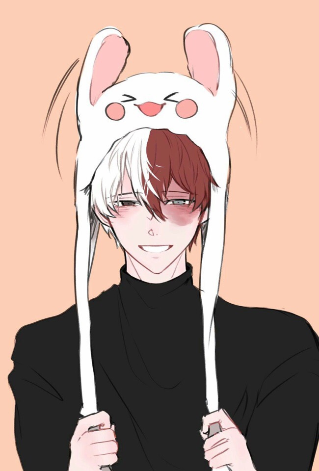Shoto Todoroki