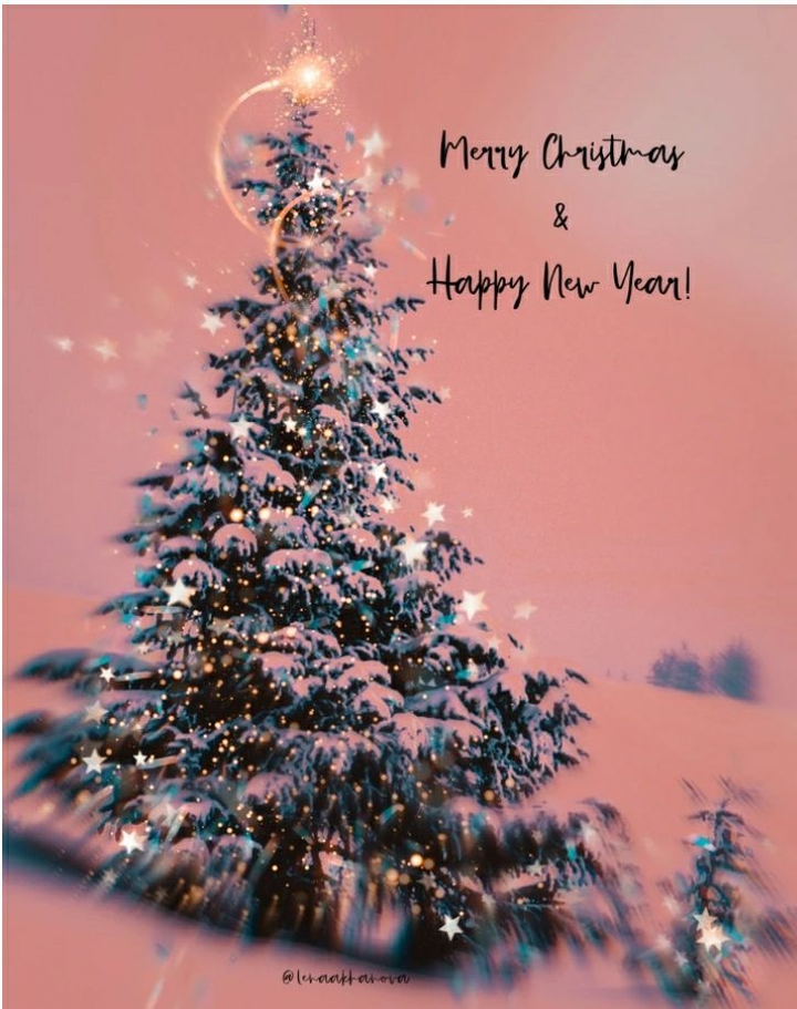 Merry Christmas*̣̥☆·͙̥❄‧̩̥࿌ིྀ྇˟͙☃️˟͙࿌ིྀ྇‧̩̥❄·͙̥̣☆*̣̥