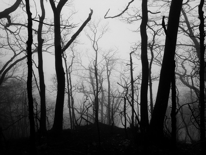 Desolate