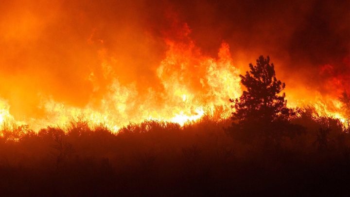 fire