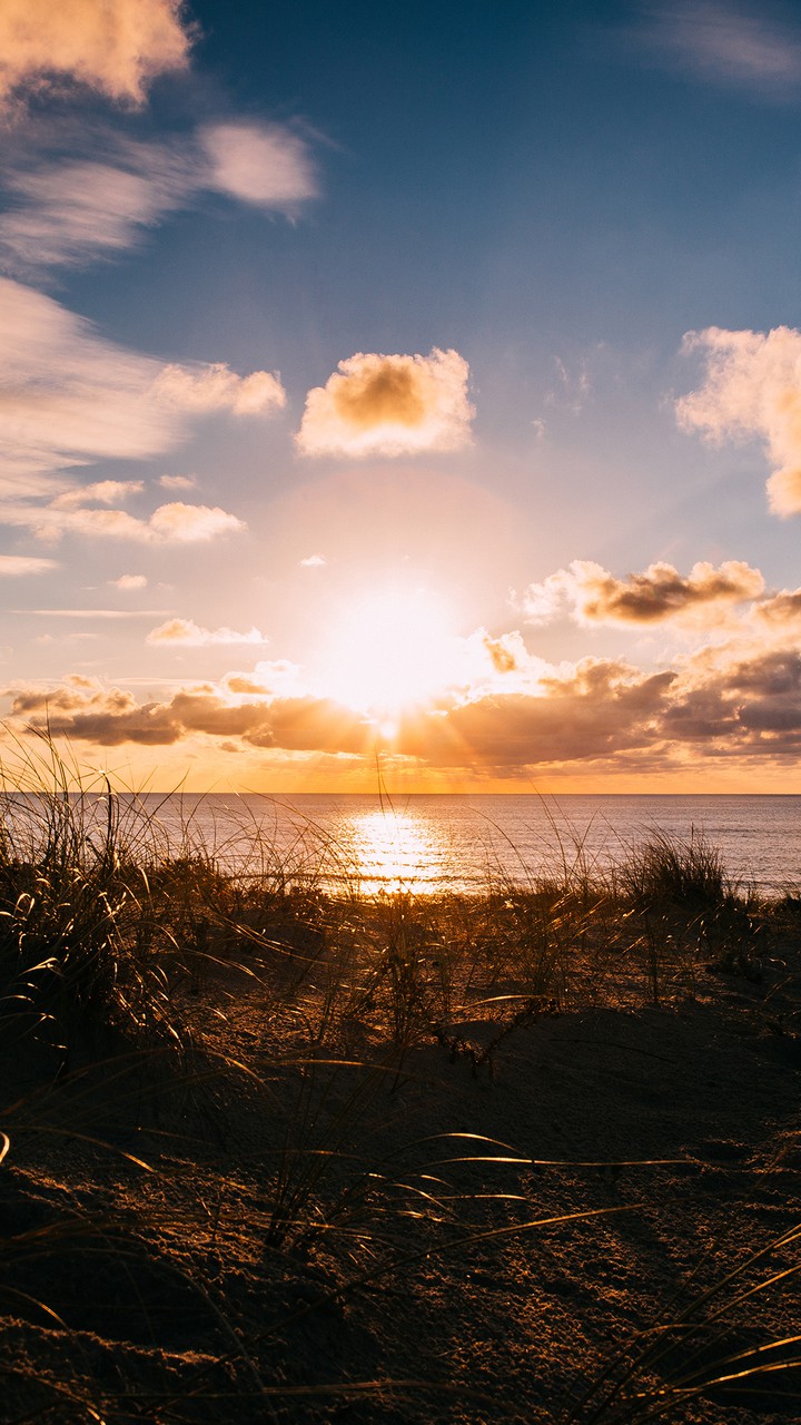 beauté de la terre
