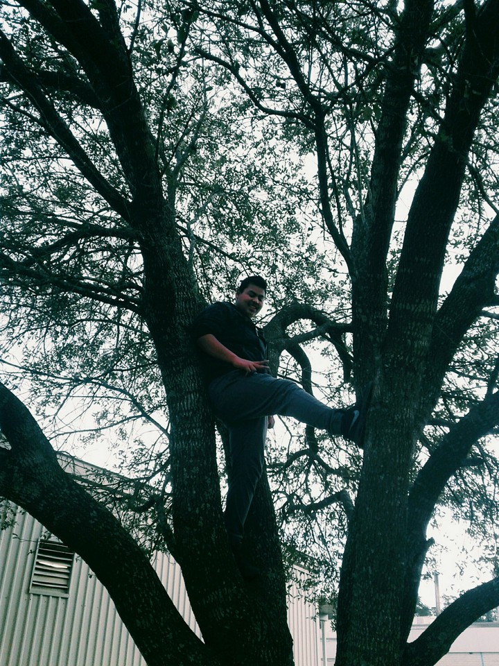 Kerlin On The Tree