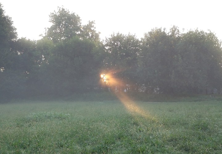 Sunlight in the early morning