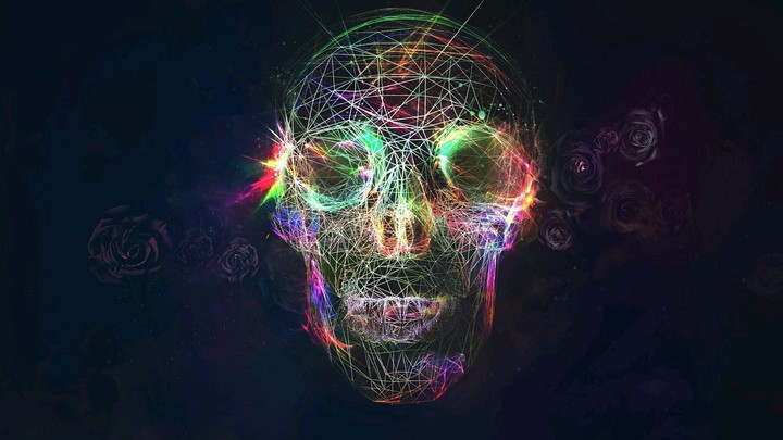 skull