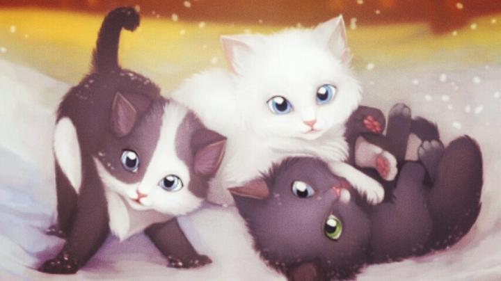 Котики