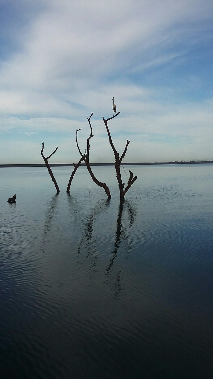 Rio Grande -MG - Brasil
