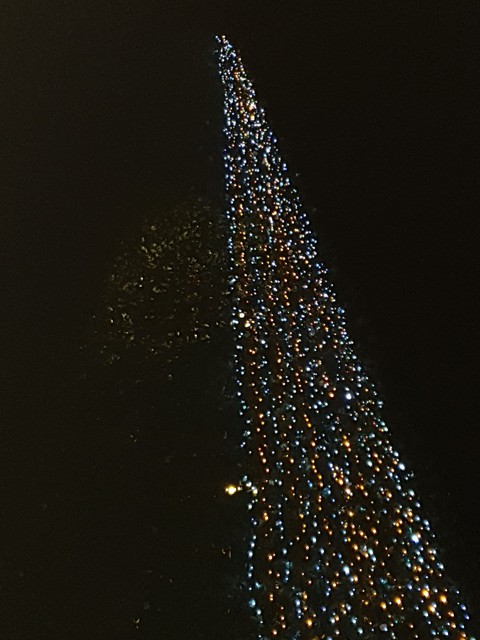 Christmas in town