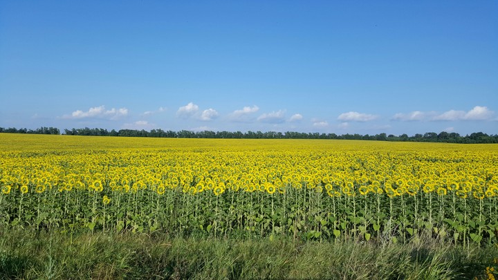 pray for Ukraine