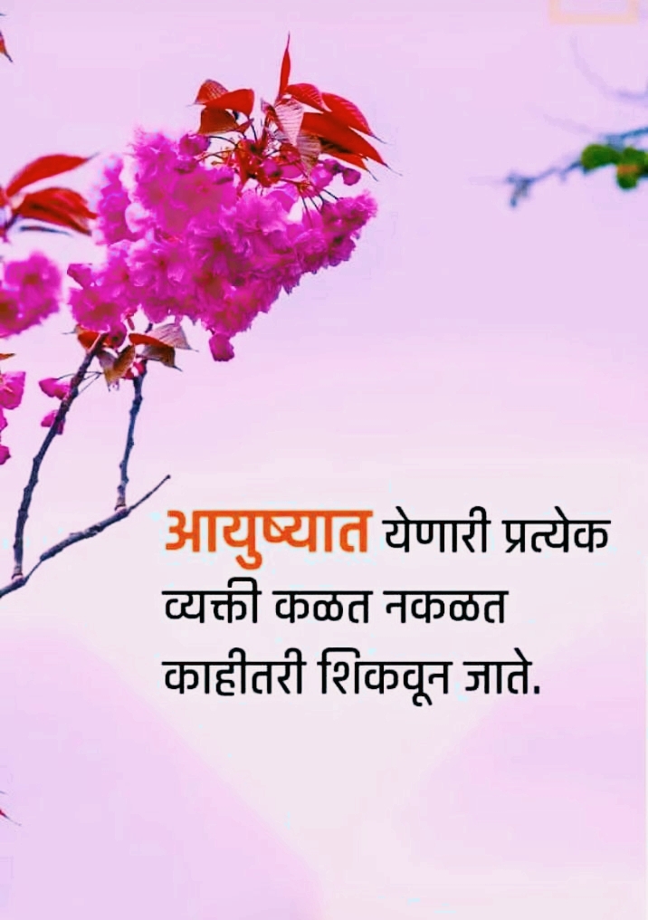 best lines