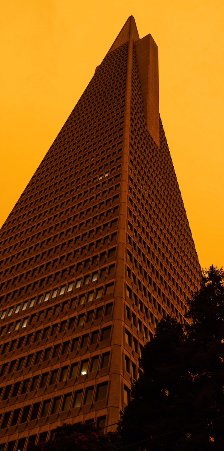 Architektur