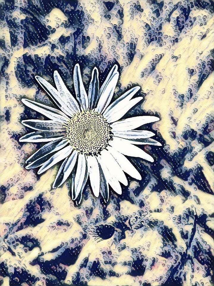 wild flower waves