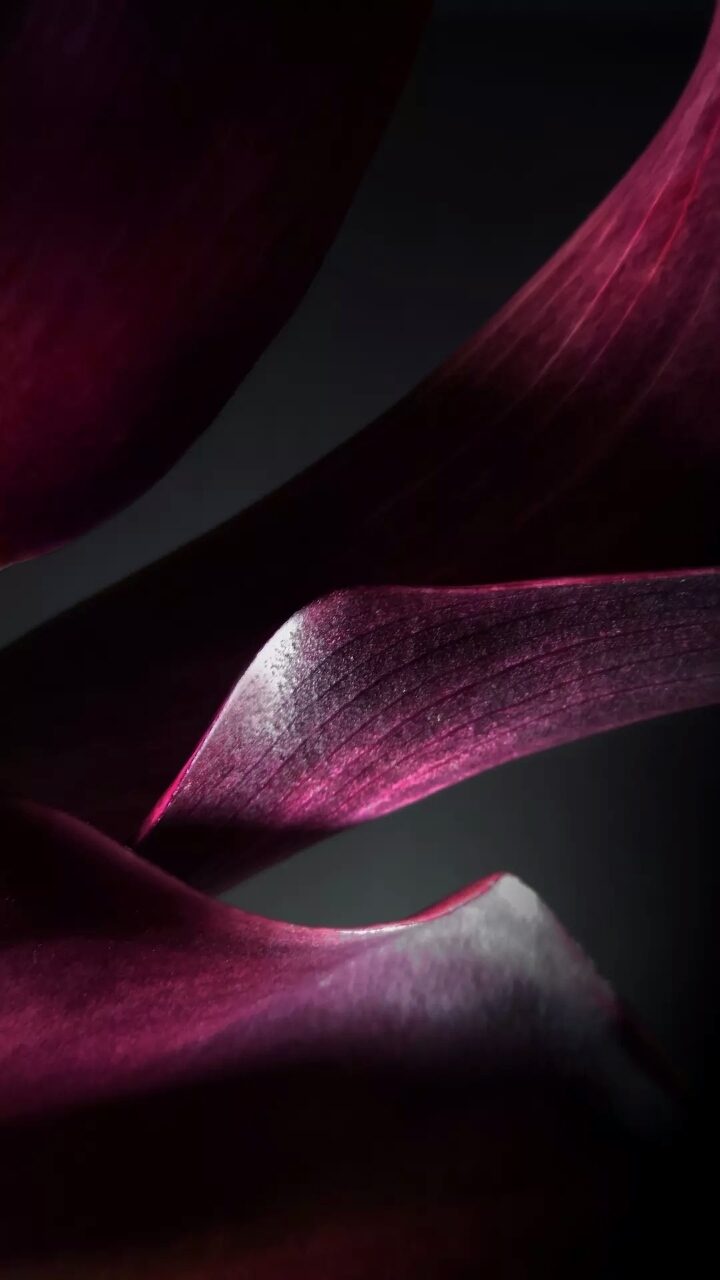 heart flower