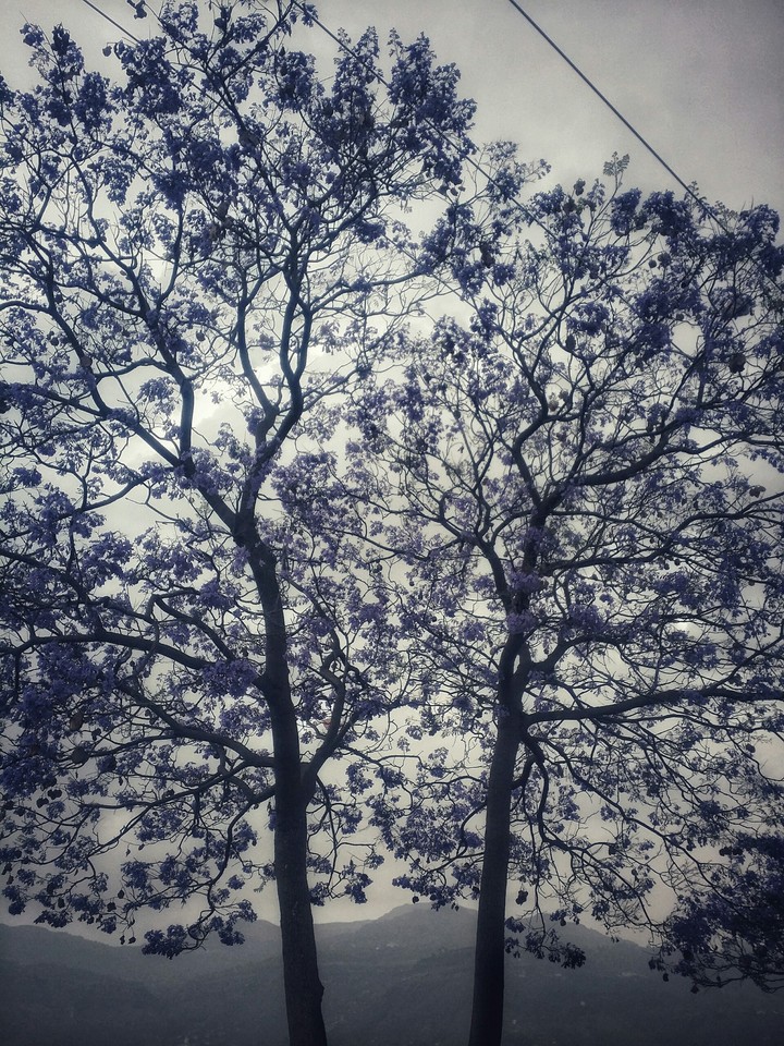 Spring