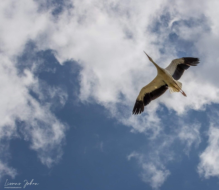 passing by