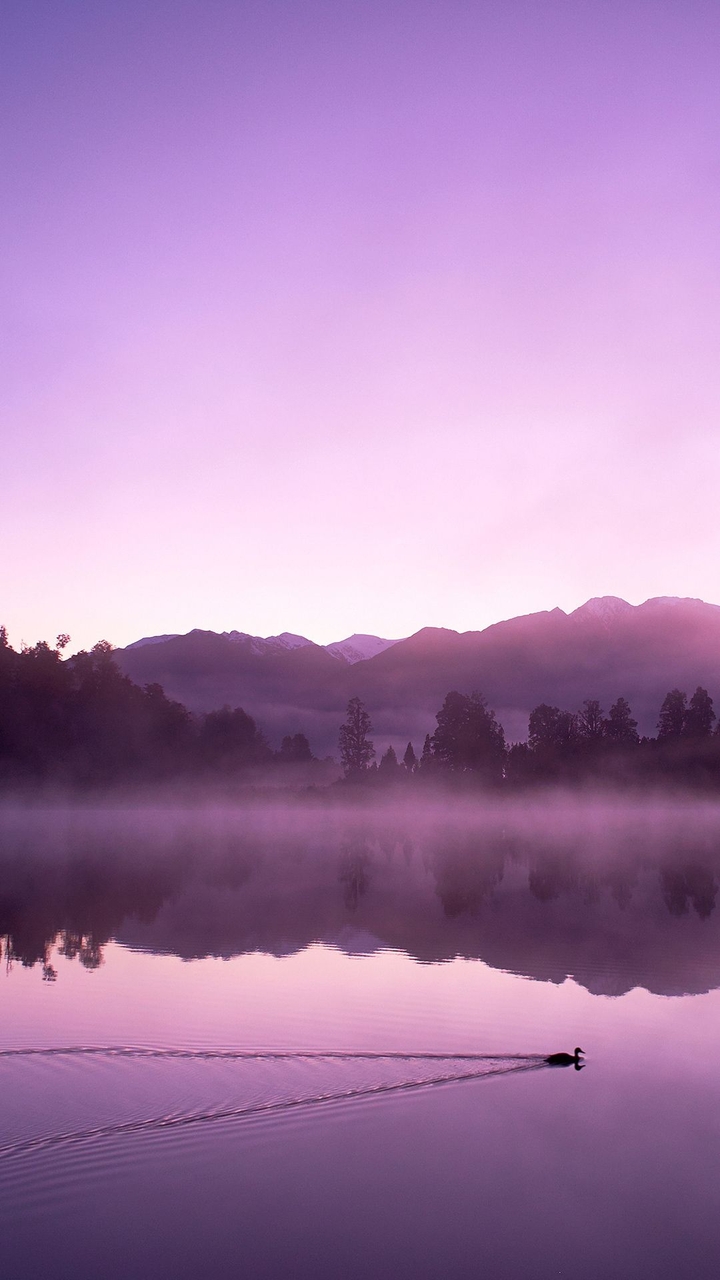 Lilac landscape