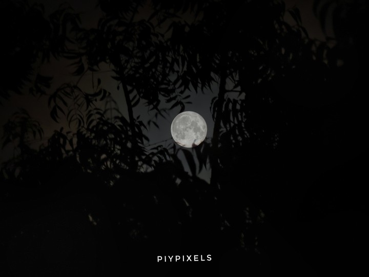 Moonscape