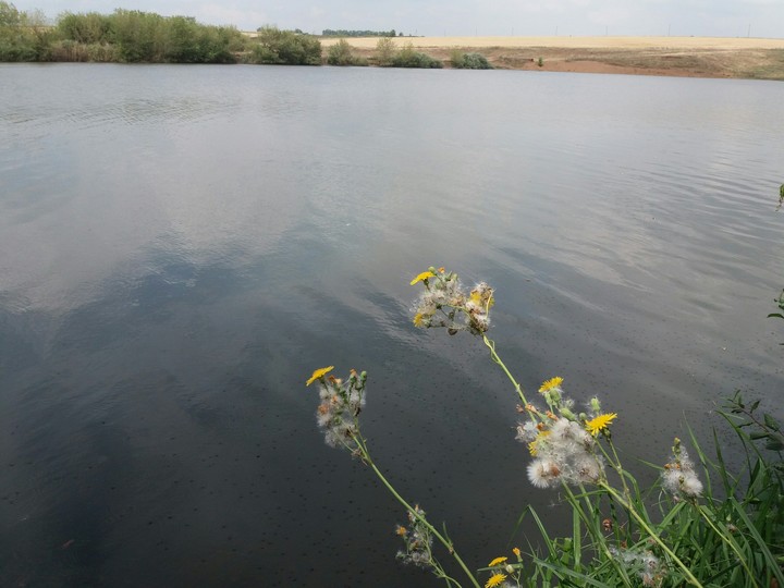 у воды