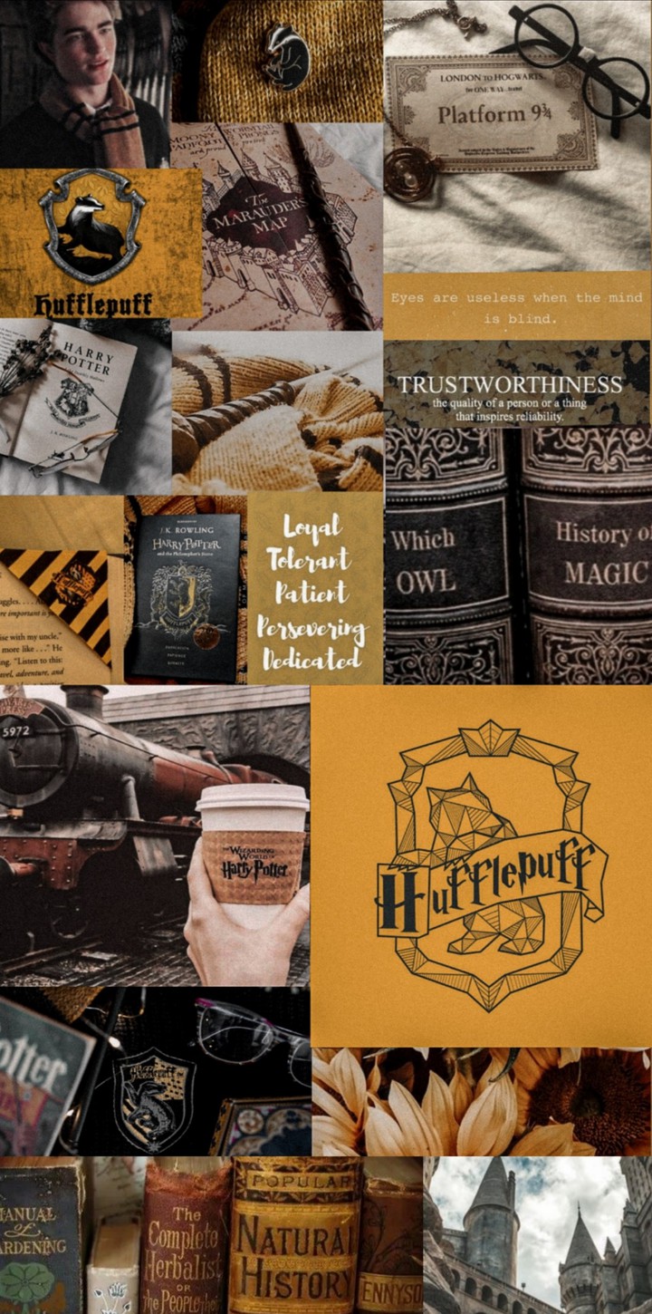 Hufflepuff ???