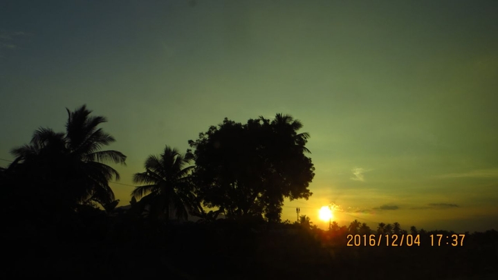sunset