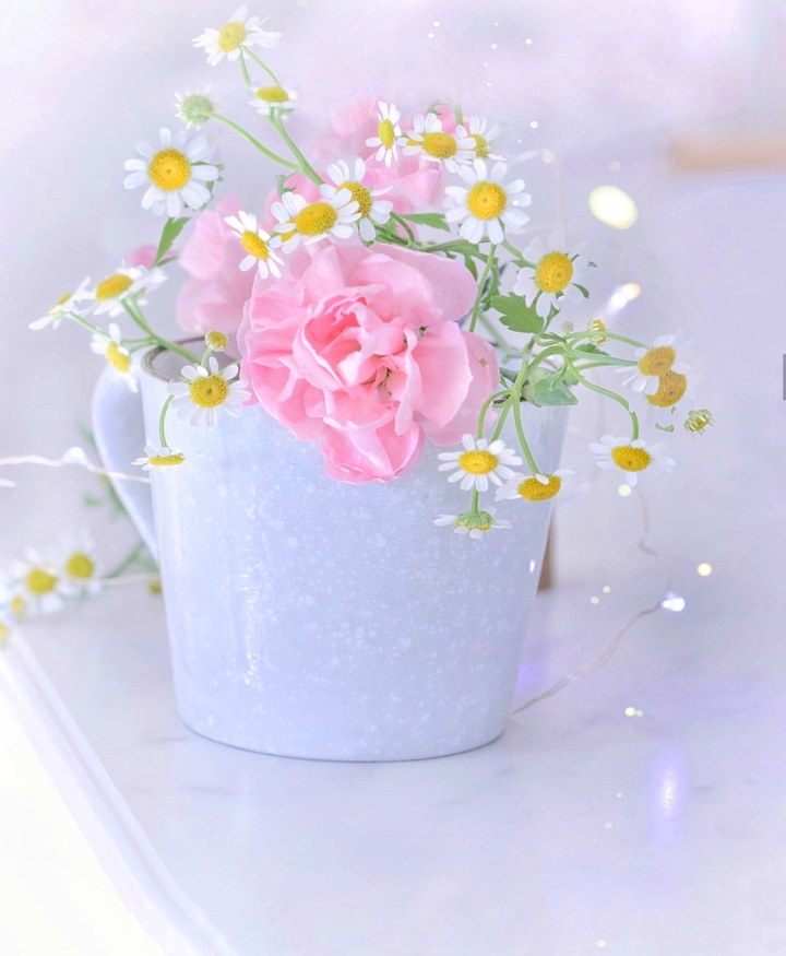 Soft_beauty