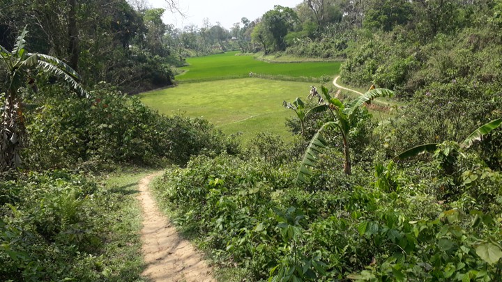 Kalenga Forest,Hobigonj Sylhet-কালেঙ্গা বন, চুনারুঘাট,সিলেট