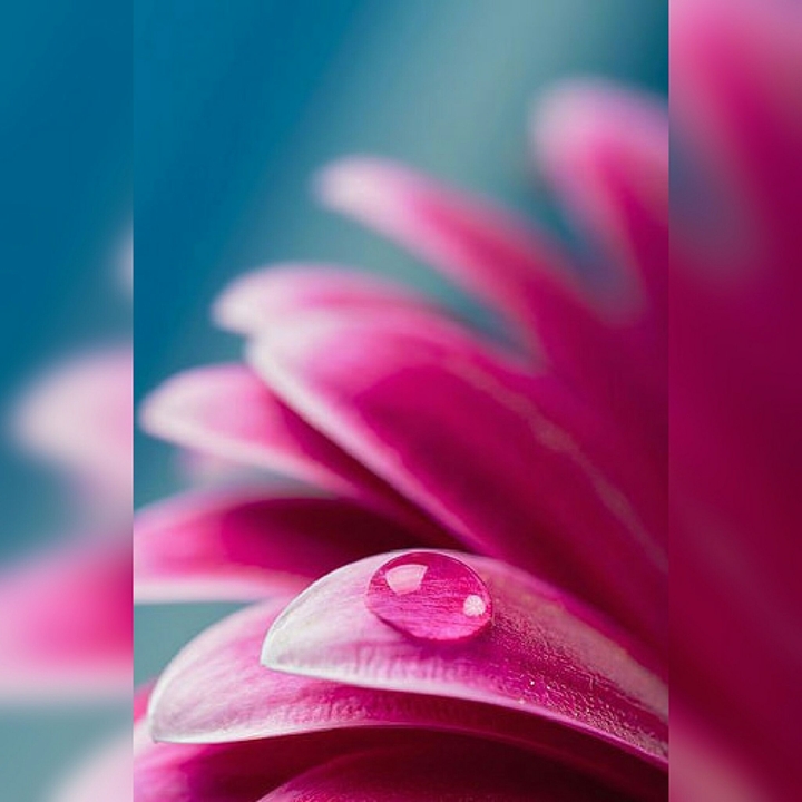 water drop